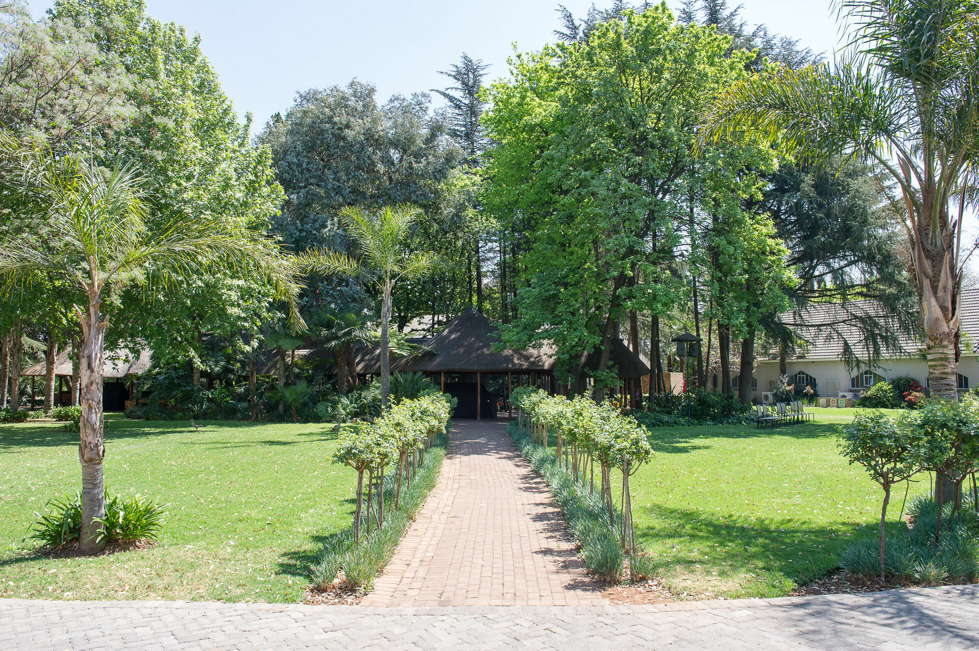 Silverbirch At Birchwood Boksburg Bagian luar foto